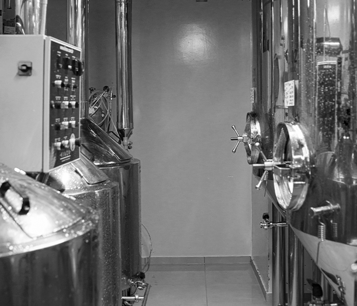 Free Bootstrap Template by uicookies.com